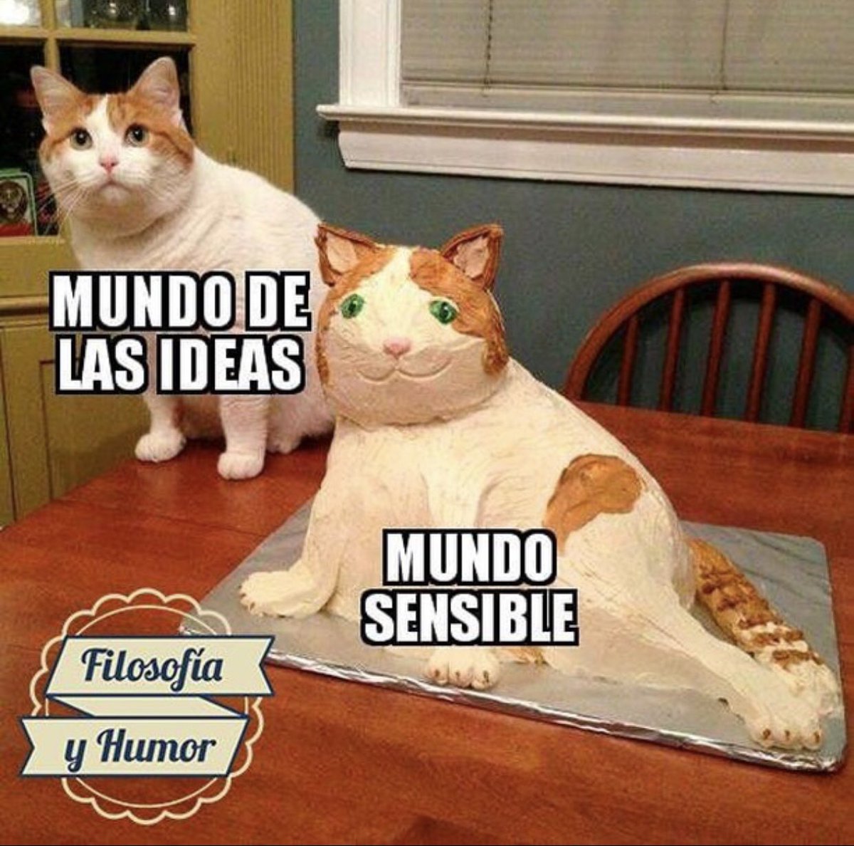 Reginalatriste's tweet photo. #Filosofia #meme https://t.co/ZCcFJdbTnq