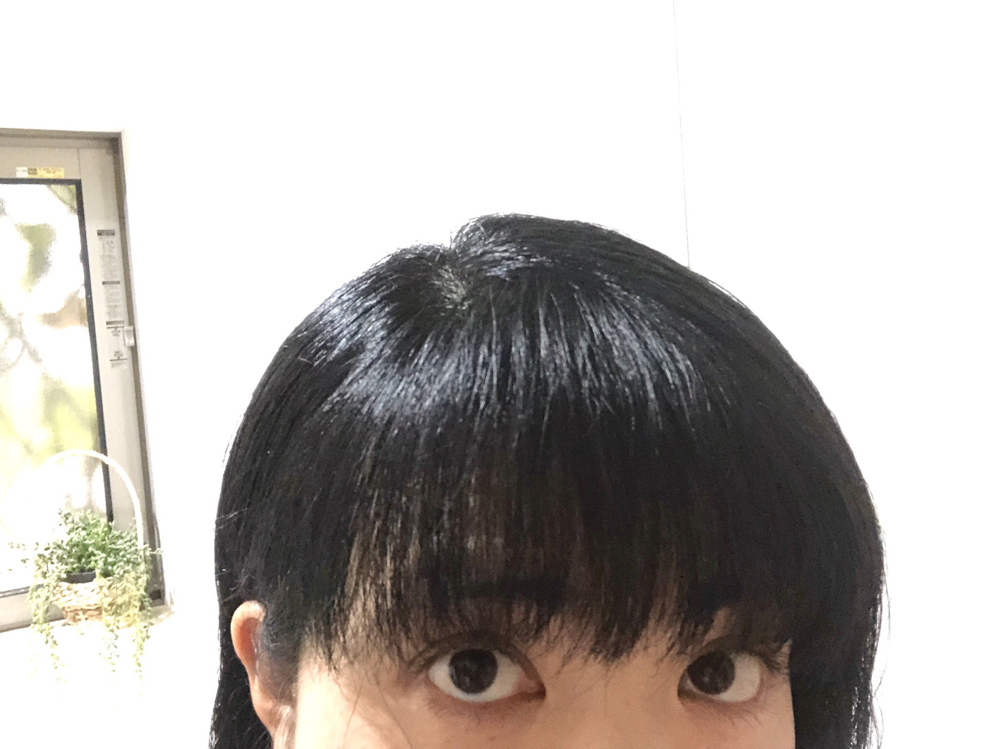 海月 ゆみ いつも前髪だけストレートパーマかけてるけど 節約のため かける間隔を空けることにした ヘアアイロン 実は自分で使うのは人生初 とりあえず練習してみたけど これ朝やったら雨の日とかでも一日もつのかなぁ 海月 ゆみ いつも前髪だけストレートパーマかけてるけど 節約のため かける間隔を空けることにした ヘアアイロン 実は自分で使うのは人生初 とりあえず練習してみたけど これ朝やったら雨の日とかでも一日もつのかなぁ