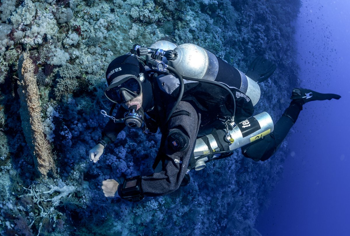 BuceoMs's tweet photo. Desde MS Buceo les deseamos un Feliz Dia a todos los buzos del mundo...!!!
#msbuceo #buceo #scuba #wearessi #scubadiving #scuba https://t.co/qLeIz6N1j7
