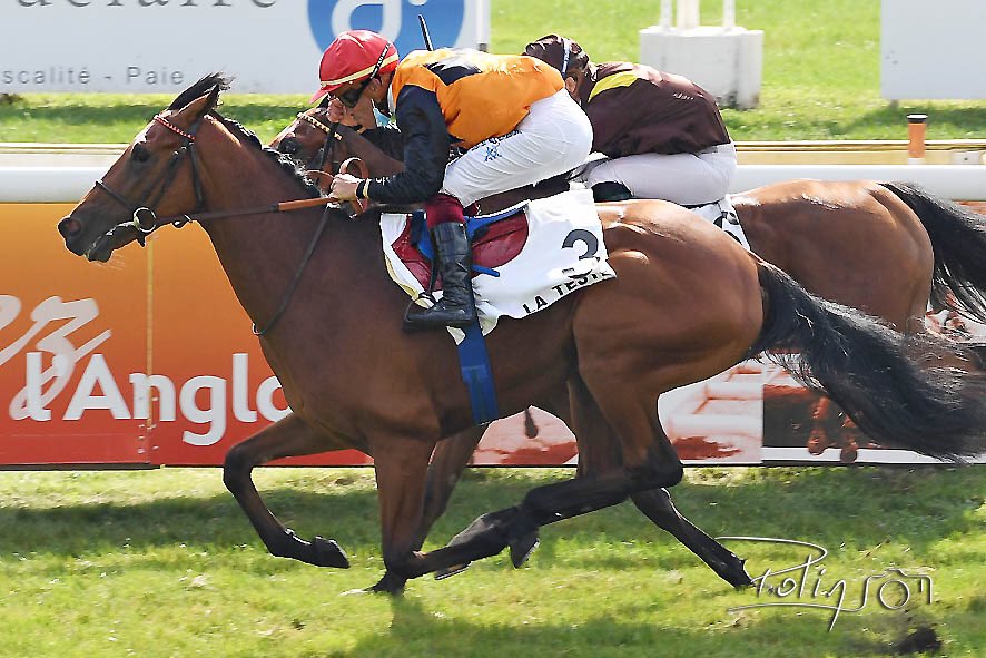 Hippodrome_Pau's tweet photo. Bravo #teamrouget pour cette victoire avec Ferblue et surtout un grand bravo à Tyson Ventadour pour son 1er succès 👏🏆  

Victoire également avec Bialystock 
Et Almona 🐴

#courseshippiques #courses #domainedesers #cheval #paumaville #pau #bearn https://t.co/DboqXPI41I