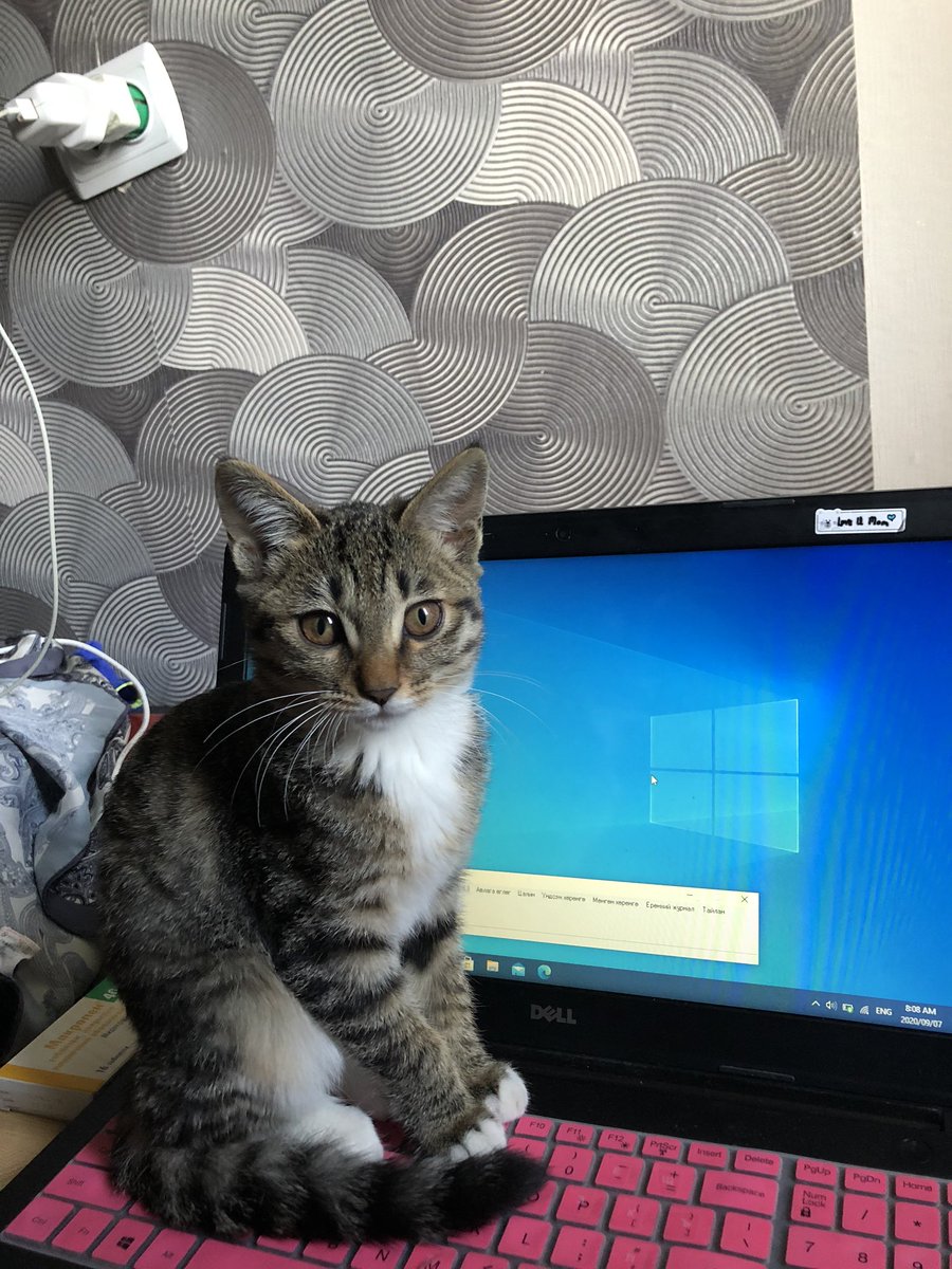 Амжилт уу, эсвэл?