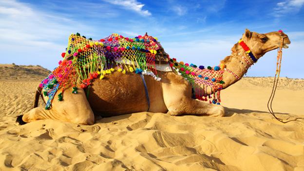 Best time of the year to  #travel to Jaisalmer,  #Rajasthan in India is during the  #Jaisalmerdesertfestival organized annually in the month of February.  @incredibleindia  @my_rajasthan  @tourismgoi  @MinOfCultureGoI 