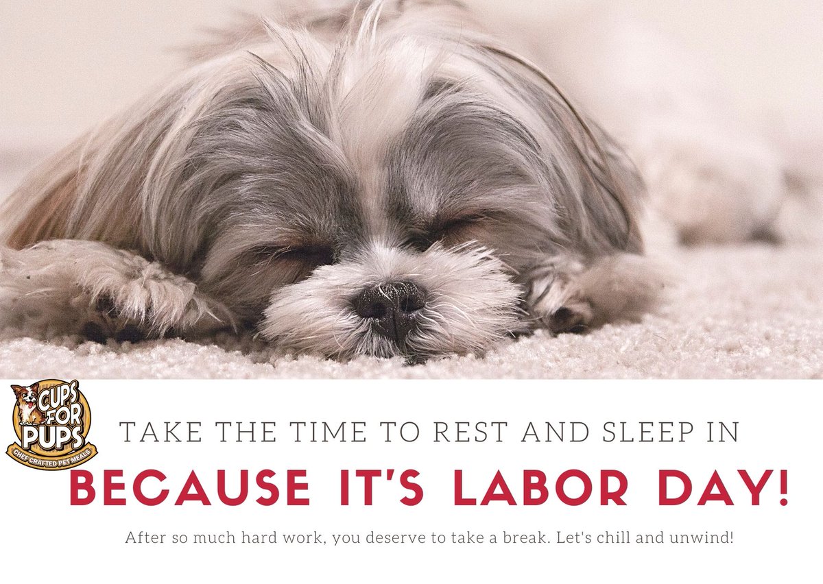 CupsForPup's tweet photo. Happy Labor Day! https://t.co/18ol6SIG6K