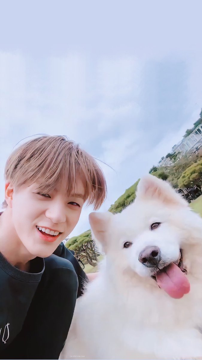 เป็นวอลโฟนนะคะ บางรูปแหม่งๆหน่อยเพราะสร้างเมฆเอา T _____ T เซฟไปใช้ได้เลยคับ🐶🤍