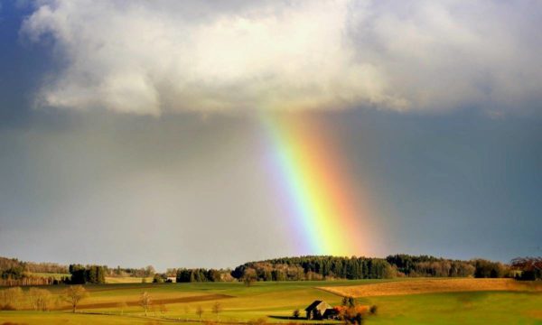 WhatisLove031's tweet photo. "Life is like a rainbow: it takes rain and sun to see the colors."
(Jules Renard)

#thoughtoftheday #raibow #sky #colors #rain #googlephoto #photography #gt #beautiful https://t.co/8GzttVKeXT