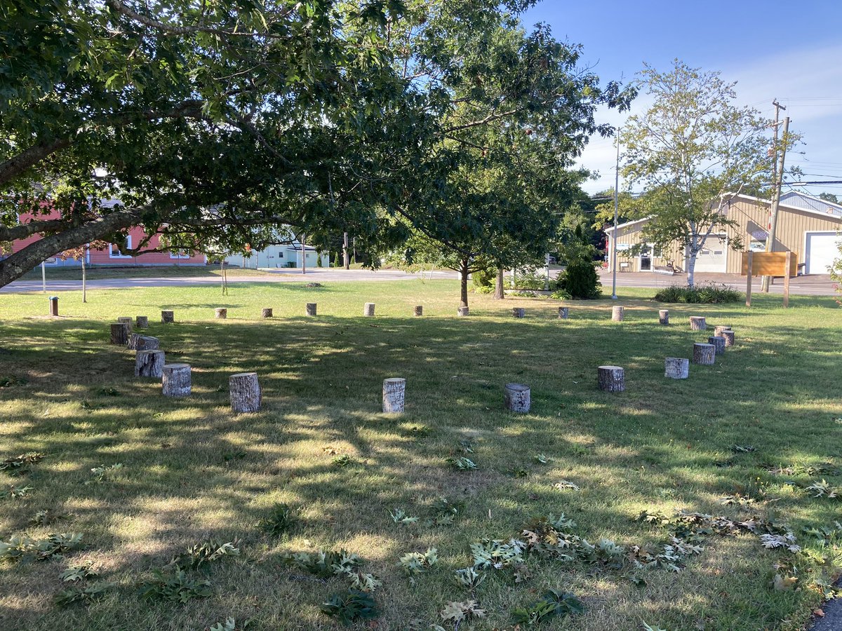 St. Mary's Elem tweet media