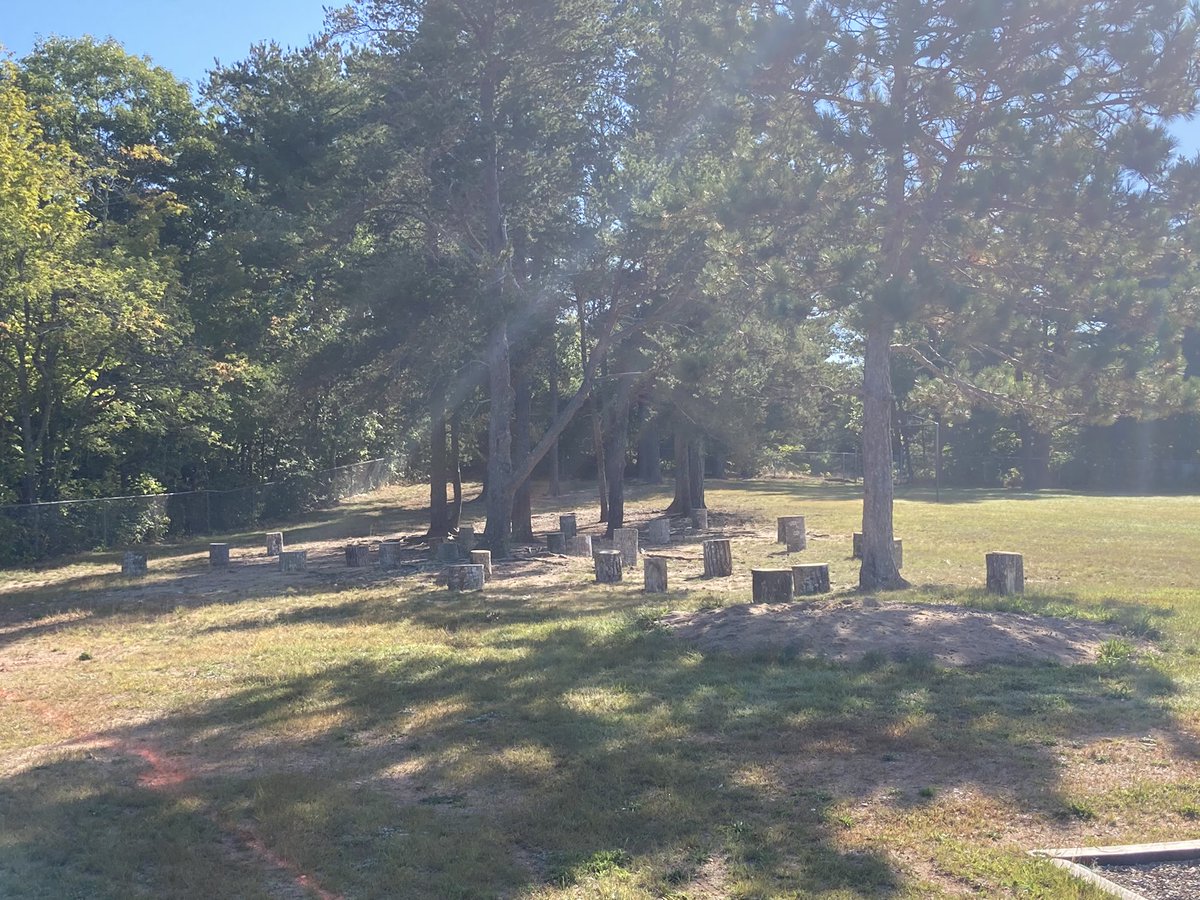 St. Mary's Elem tweet media