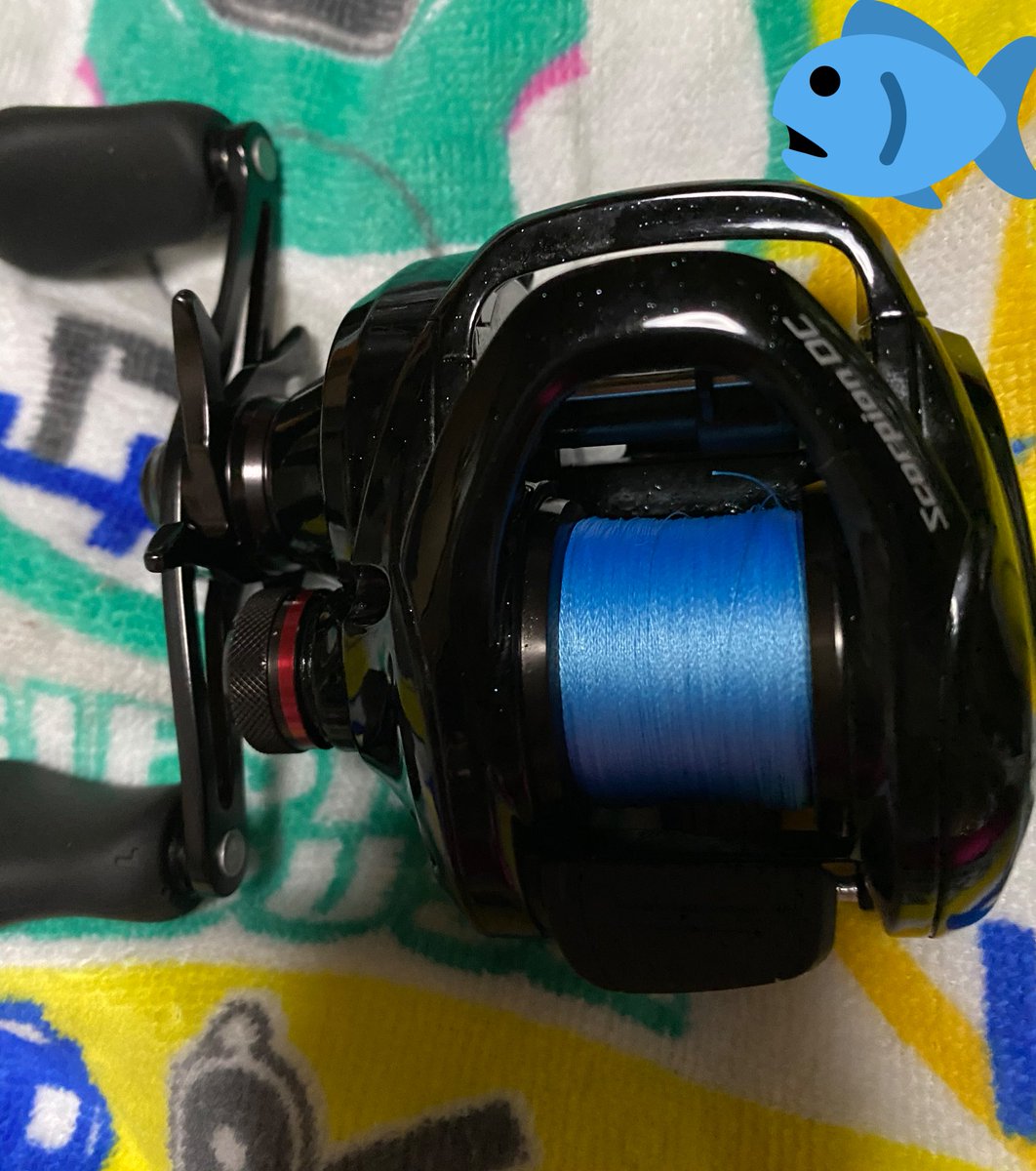Team烏賊釣りたいねんw Pe巻きました いつ試し投げに行こうかな 関西 風夢 スコーピオンdc ベイトリール