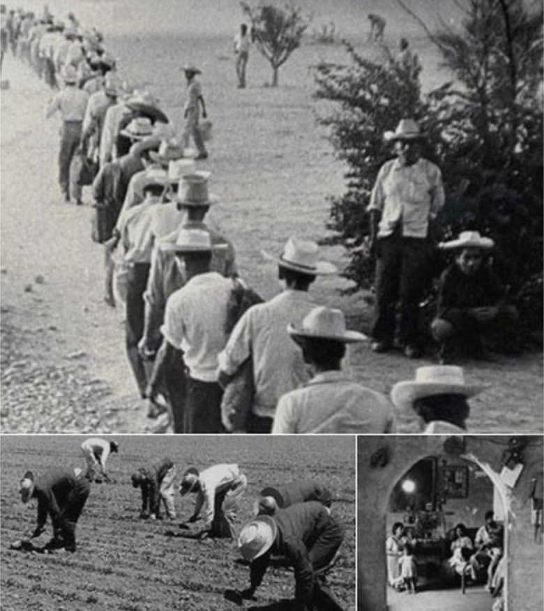 USLatinoMuseum's tweet photo. On #LaborDay, let us remember the Bracero Program, a key chapter in U.S. labor/immigration history. Hear the stories of the men, women, and children whose lives and communities were directly impacted by this guest worker program. https://t.co/0orbG6i3Mz https://t.co/ZH17nxoAfQ