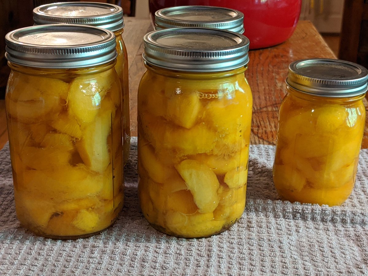 4.5 quarts peaches in honey syrup. Some unfortunate air bubbles in this one, but they're sealing anyways.