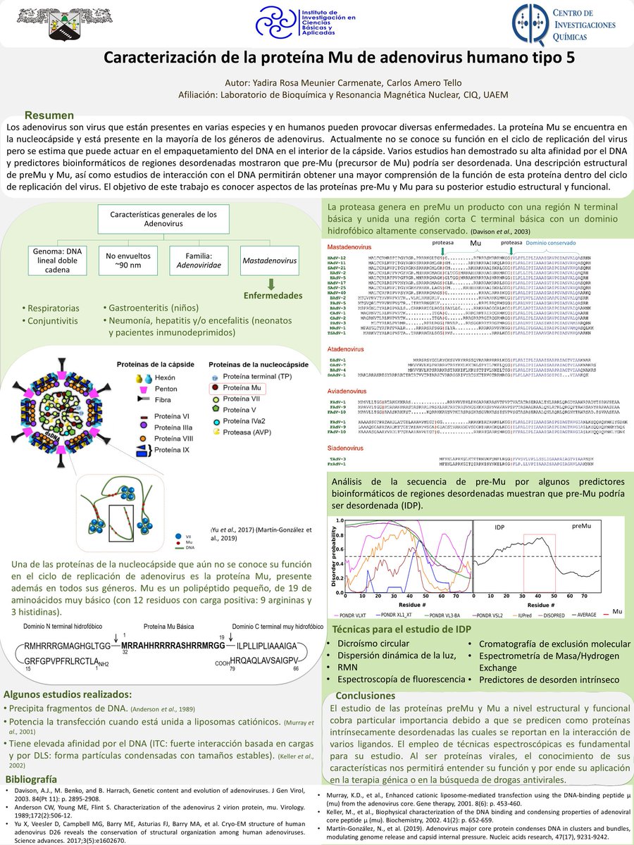 YadiraRosaMeun1's tweet photo. Hi @LatinXChem, this is my work “Caracterización de la proteína Mu de adenovirus humano tipo 5”, #LatinXChemBio-032” https://t.co/H8KaEMtbr3