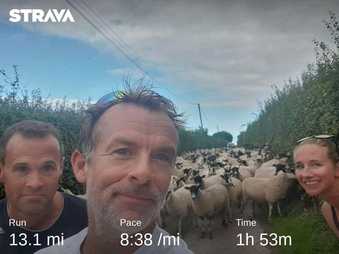 marchankins2's tweet photo. This made an easy Sunday half very interesting. #MondayMotivation #halfmarathon #runner
 https://t.co/QOSyIlJdMa https://t.co/qyOLe535P0
