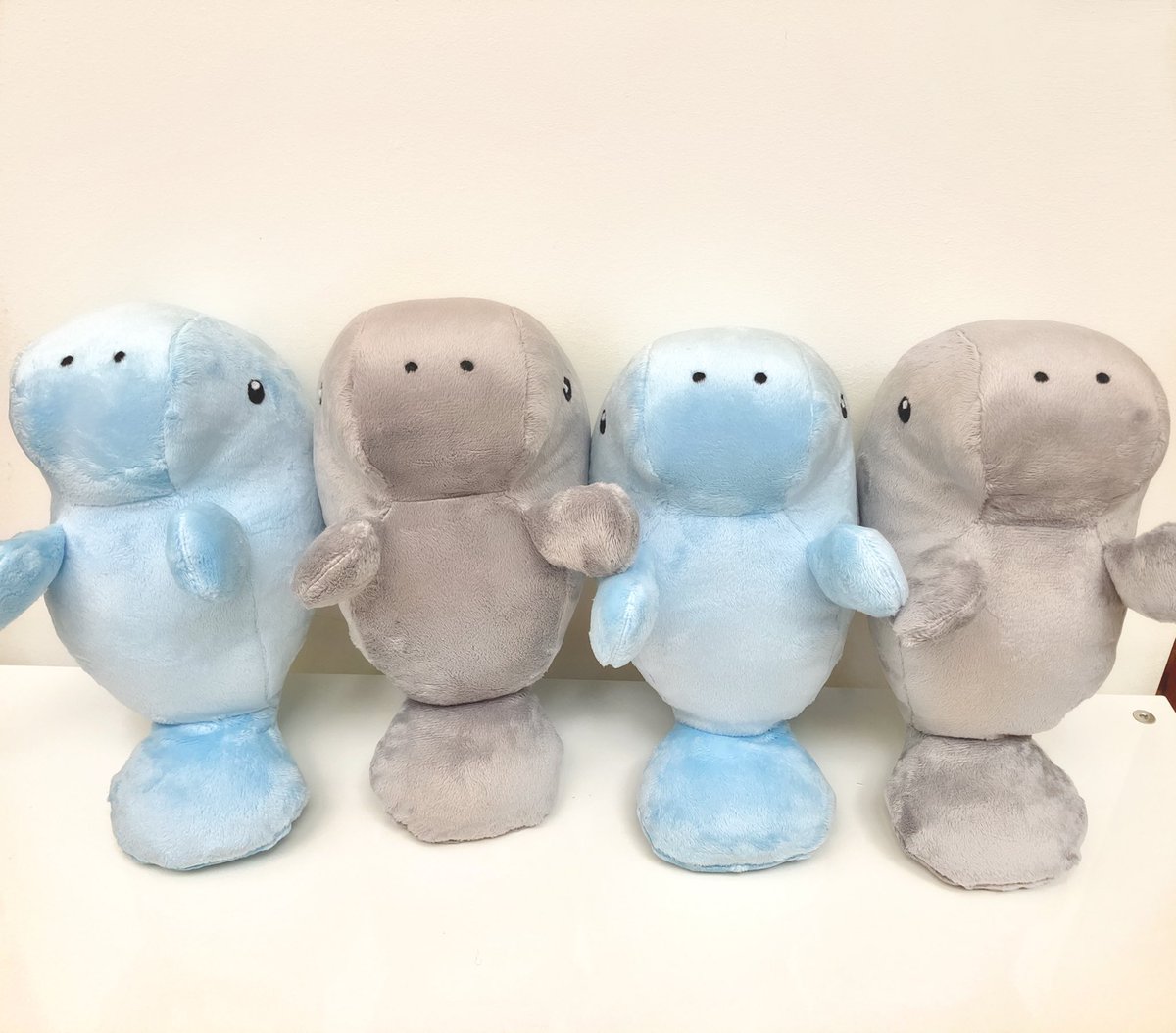 SaltwaterPlush's tweet photo. HAPPY INTERNATIONAL MANATEE DAY EVERYONE! ❤️#internationalmanateeday #savethemanatee https://t.co/EeZZF3pO0Z