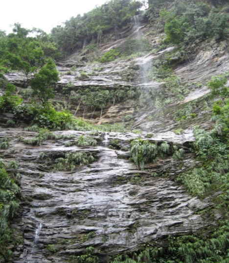 TourismTriniLtd's tweet photo. Nestled against the eastern side of Morne Catherine overlooking the Golf Course, is a 180m waterfall! The falls are accessed through an old Tonka Bean plantation that comes alive with its exotic rain forest. Yours to explore, when next we can, only in Chaguaramas!
#EdithFalls https://t.co/s9mZdcaZtl