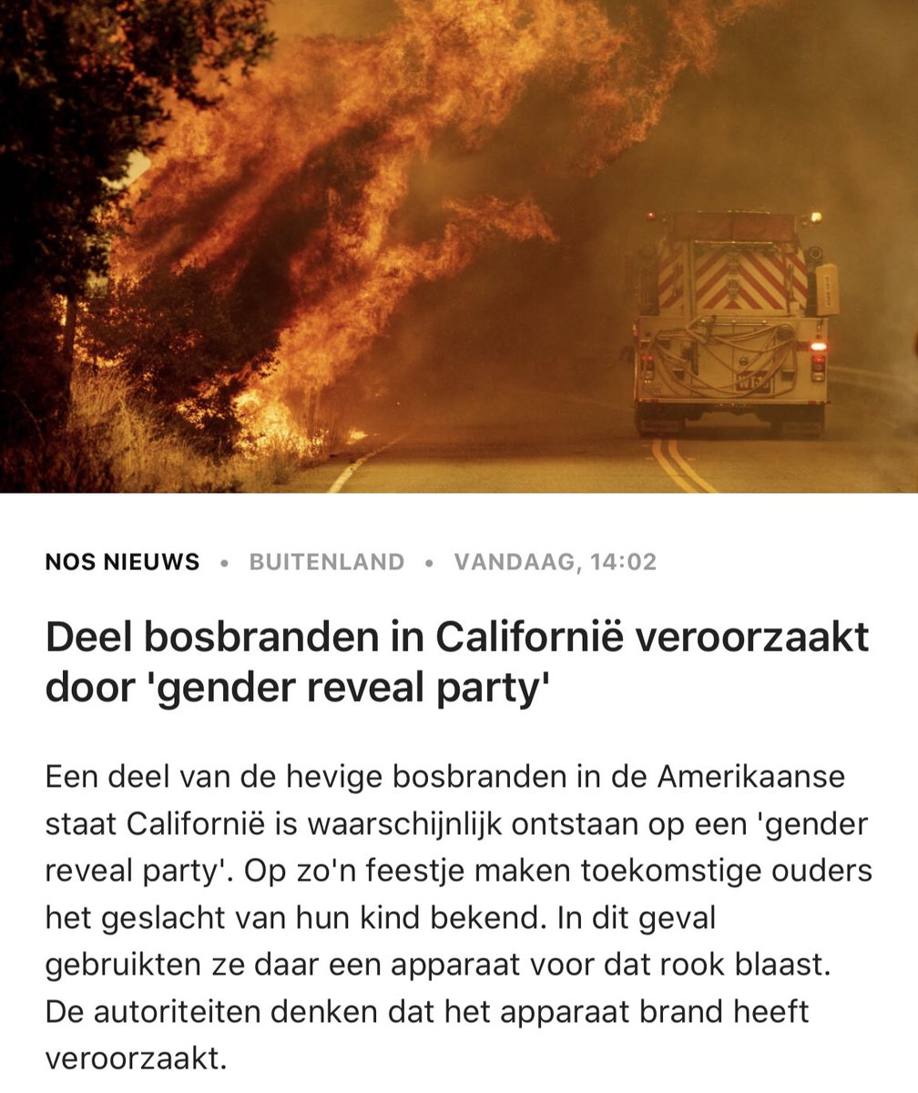 VrijndeSteede tweet picture