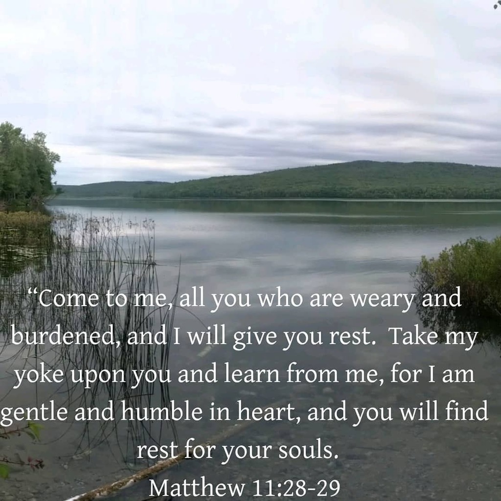 FarmChicJodi's tweet photo. Seems appropriate for today even if I'm catching up on all the cleaning I've not done in months.

Take some time today to be mindful and rest for a while.

#LaborDay #RestAndReflection  #Relax #GodisGood https://t.co/ejtlnHjLKw https://t.co/omcOeRFhmM