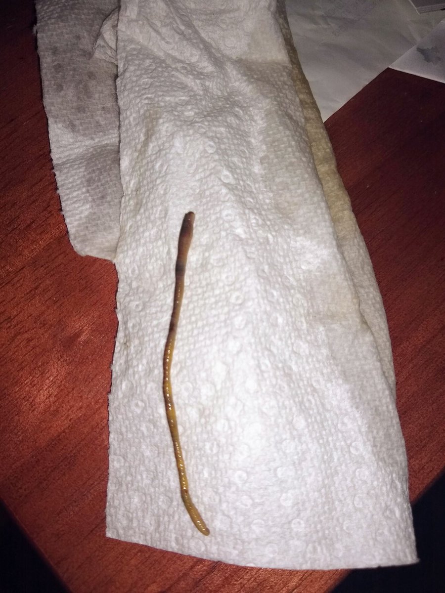 blairjohnsonn's tweet photo. Y’all my mom found a WHOLE WORM in her @McDonalds cup...A WORM. https://t.co/orClOurtCc