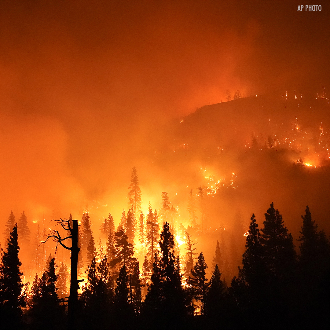 ABC30's tweet photo. Dramatic photos show the explosive Creek Fire as firefighters race to extinguish the growing blaze and orange skies loom over Shaver Lake, where hundreds of campers were airlifted to safety this weekend. https://t.co/MQUpzaqlo5 https://t.co/TwD1cnS4DJ