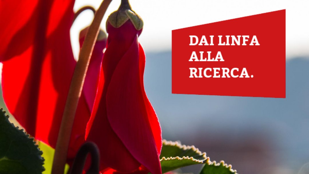 Domenica 27 settembre con ogni fiore o pianta acquistati sosterrai il GILS nella lotta contro la sclerodermia/sclerosi sistemica. #DONACONUNFIORE su interflora.it