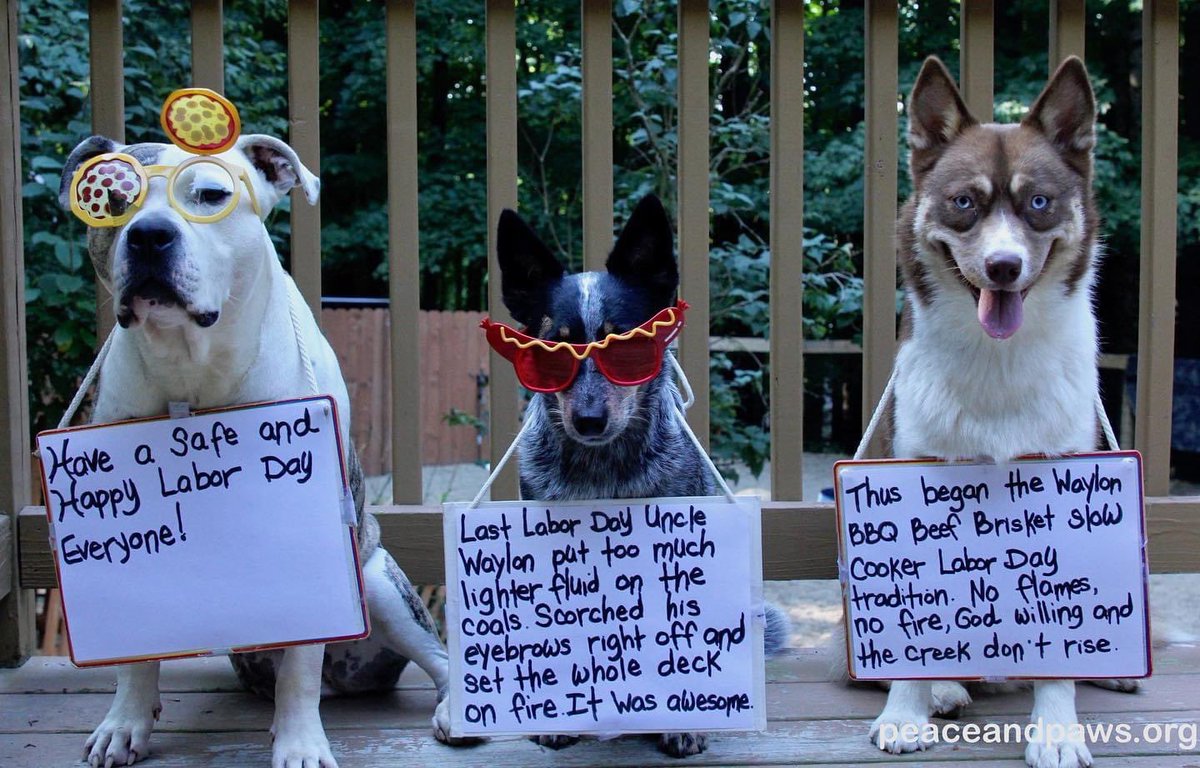 GiddyTwinkle's tweet photo. All of us at Peace and Paws hope you have a safe and happy Labor Day! #LaborDay2020 https://t.co/ySjUAL8jSv