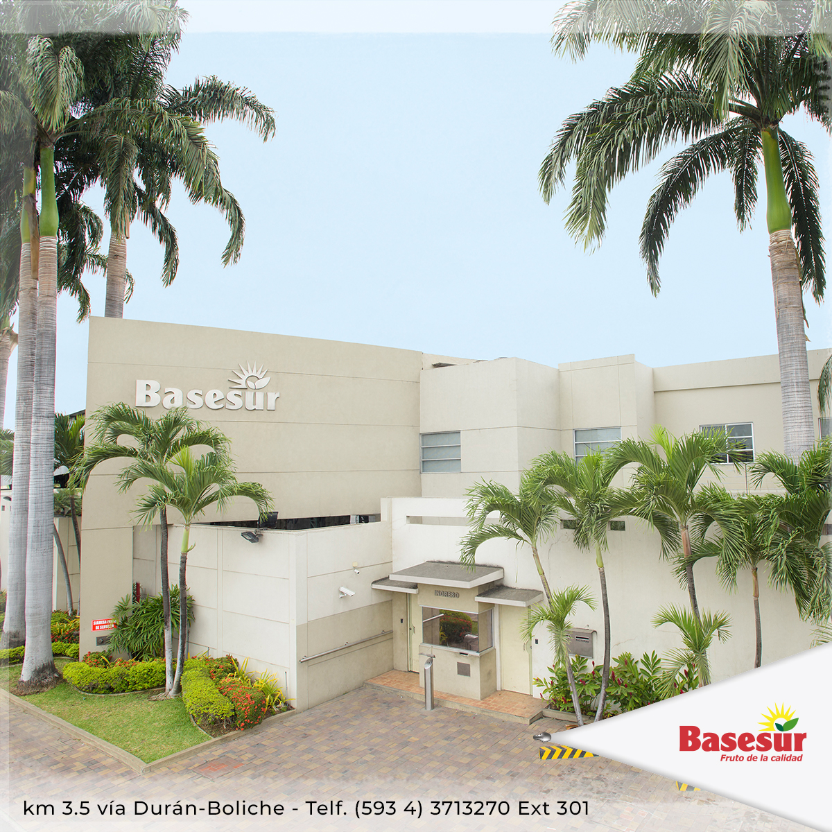 delsurbasesur's tweet photo. En Basesur nos dedicamos a la importación, exportación y producción de frutas frescas y frutos secos 🇪🇨 te esperamos #frutas #Cereales #FrutosSecos #Fruits #Food #Basesur https://t.co/Iw5g8RkitK