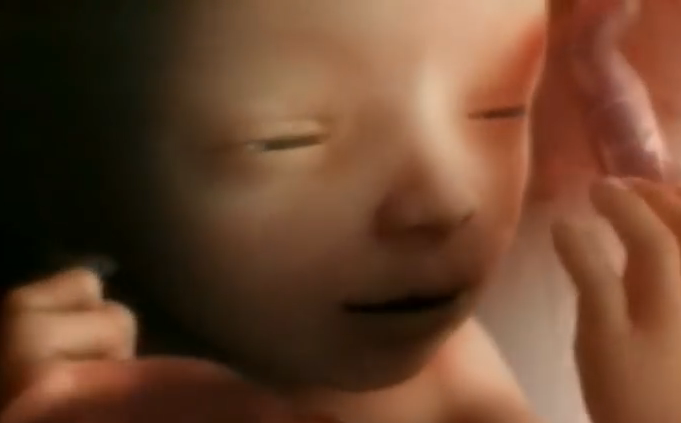 LifeNewsHQ's tweet photo. North Dakota Abortions Decline as More Babies Saved From Abortion https://t.co/AaHaLk3XHb https://t.co/KpYf34C8xb