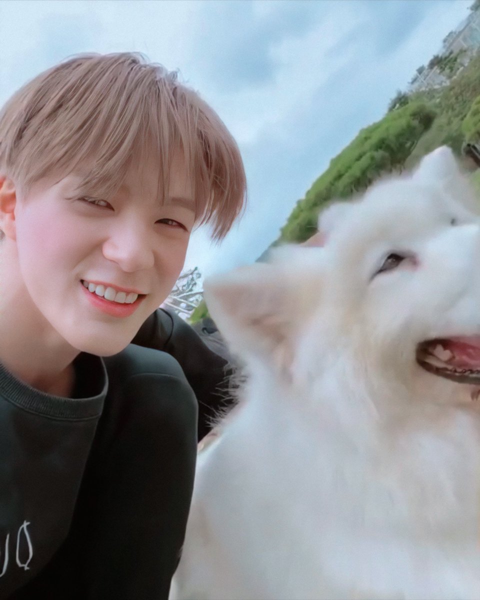 เห็นแล้วชีวิตสดใสขึ้นเป็นกองเพราะรอยยิ้มเดียว​ ㅠㅠ