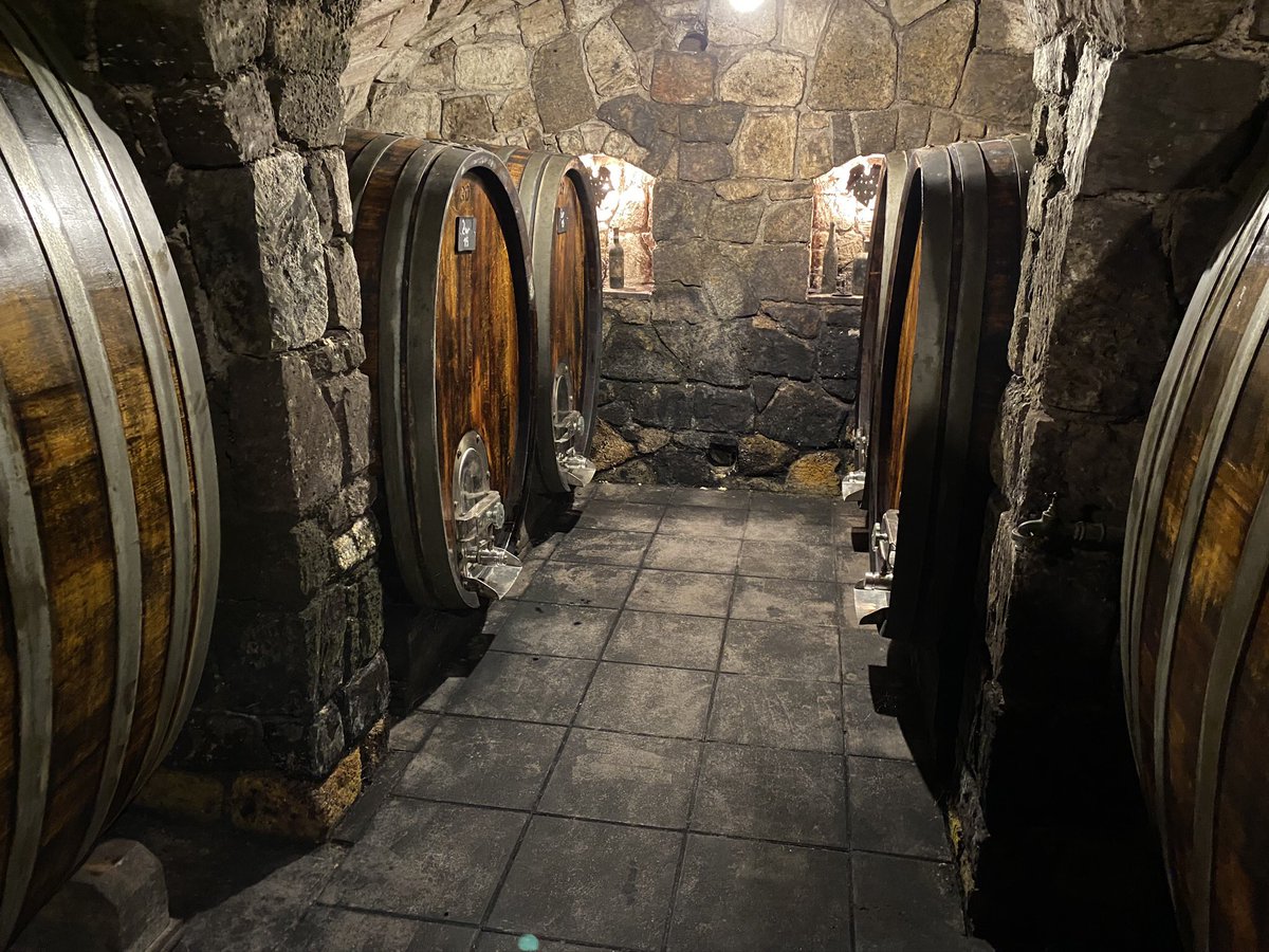 eigenwijze39's tweet photo. @jonbergerdaniel a guided tour at vineyard @Land_Burgenland #Frauenkirchen #umathum telling us a lot about winemaking, soil, climate, winefasser, cleaning them, fungi, wine for the angels, refilling...interesting. Not that simple creating just 200.000 bottles of wine per anual. https://t.co/JSEfCqnUEM