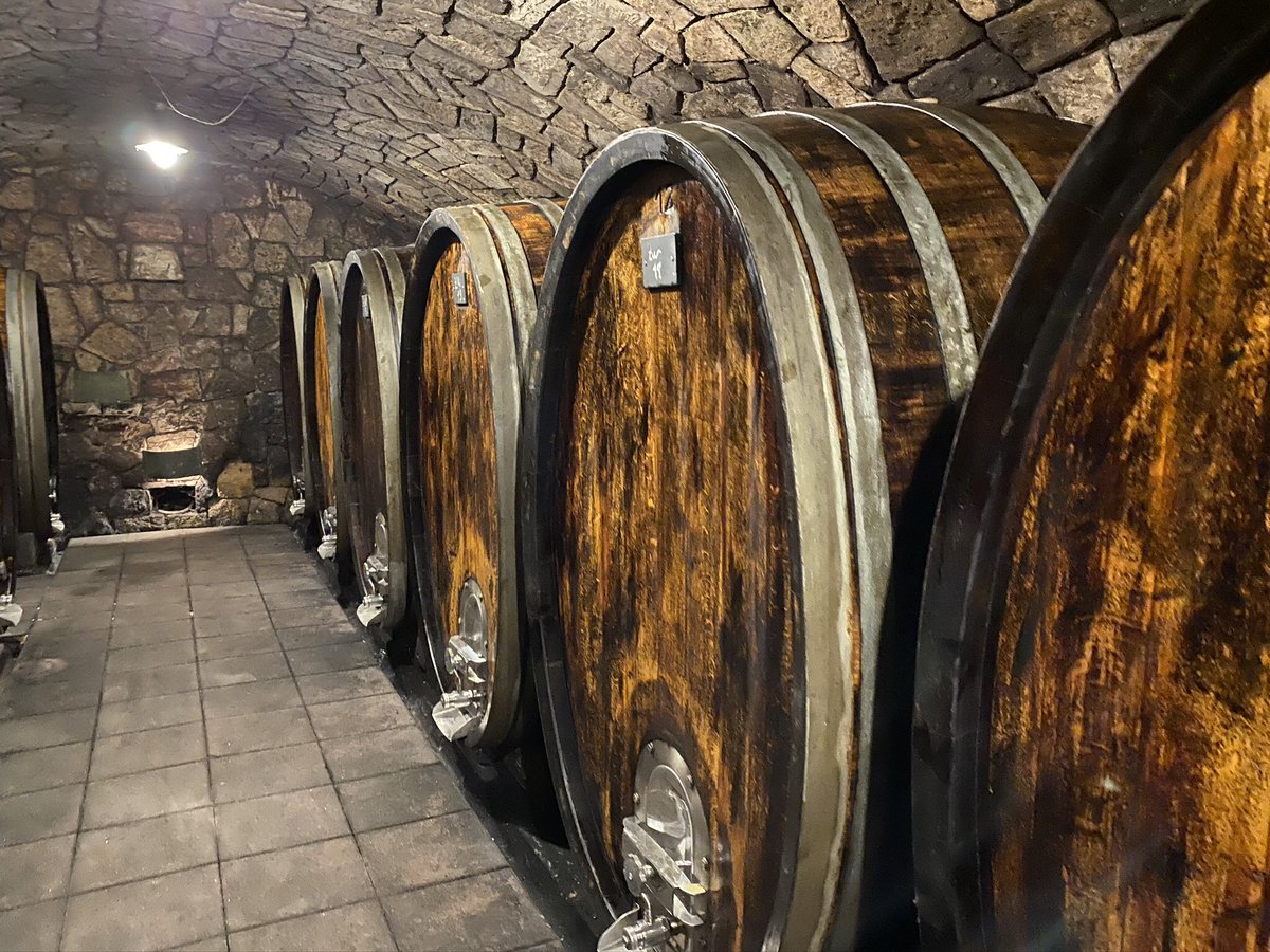 eigenwijze39's tweet photo. @jonbergerdaniel a guided tour at vineyard @Land_Burgenland #Frauenkirchen #umathum telling us a lot about winemaking, soil, climate, winefasser, cleaning them, fungi, wine for the angels, refilling...interesting. Not that simple creating just 200.000 bottles of wine per anual. https://t.co/JSEfCqnUEM