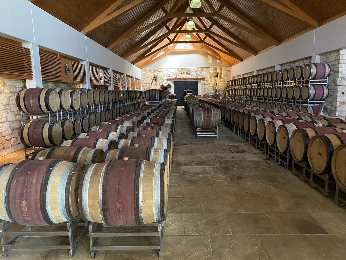 eigenwijze39's tweet photo. @jonbergerdaniel a guided tour at vineyard @Land_Burgenland #Frauenkirchen #umathum telling us a lot about winemaking, soil, climate, winefasser, cleaning them, fungi, wine for the angels, refilling...interesting. Not that simple creating just 200.000 bottles of wine per anual. https://t.co/JSEfCqnUEM