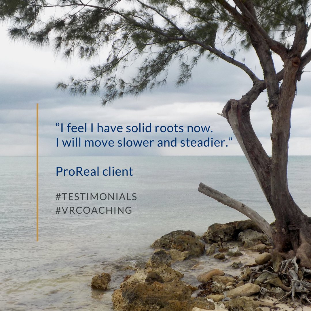 VoxelHub's tweet photo. "I feel I have solid roots now. I will move slower and steadier."
.
Using #VirtualReality helped us a lot in this process. @ProRealVR is powerful so I am glad I can use it as a #coaching tool.
.
#happyclient #VRcoaching https://t.co/1oJbKKVcCJ
