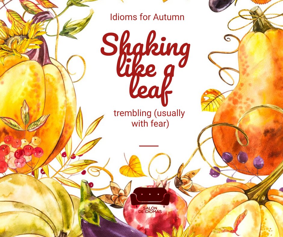 salondeidiomas's tweet photo. 🍂🌳𝐀𝐮𝐭𝐮𝐦 𝐢𝐬 𝐚𝐥𝐦𝐨𝐬𝐭 𝐡𝐞𝐫𝐞!🍂🌳  porque estamos ya casi en #otoñoos vamos a traer unos #IDIOMS  en #inglés o expresiones idiomáticas que tenga que ver con el otoño 😉🍂
#Speaking #examenesoficialesinglés #Aptis #TrinityISE #LangugeCert #Linguaskill #PET #FIRST #CAE https://t.co/CyrdocwS78