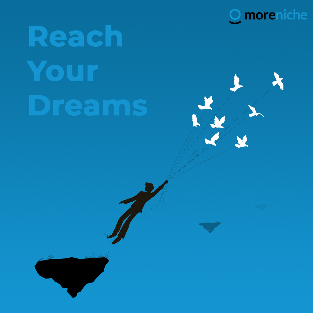 MoreNiche tweet media