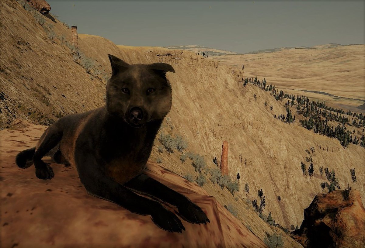 wolfiex11's tweet photo. Getting back to it with WolfQuestAE, testing out the new multiplayer beta, so far so good. Keep up the good work @WolfQuestGame ! #wolfquestAE #wolfquest 🐺 https://t.co/fe4FdTmJgd