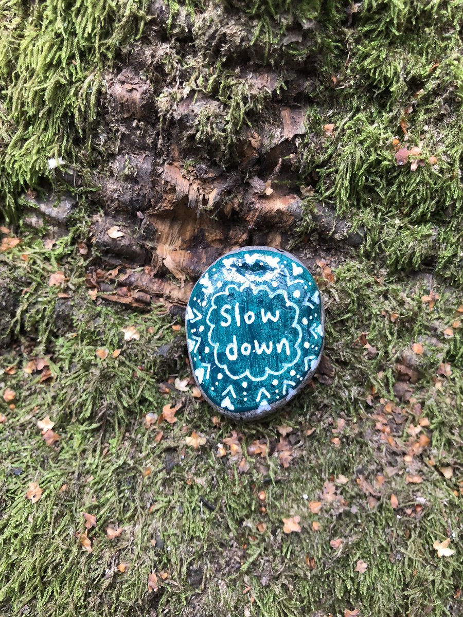 CompassionateRo's tweet image. Slow down.
Life is all around you.
💞

#pebbleswithpurpose #rockpainting #mindfulness #compassionaterocks #365daysofcompassion #mindfulrocks #slowdown #mindfulliving #PassItOn #RandomActOfKindness