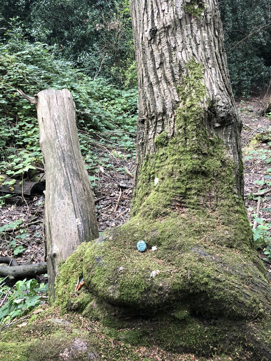 CompassionateRo's tweet image. Slow down.
Life is all around you.
💞

#pebbleswithpurpose #rockpainting #mindfulness #compassionaterocks #365daysofcompassion #mindfulrocks #slowdown #mindfulliving #PassItOn #RandomActOfKindness