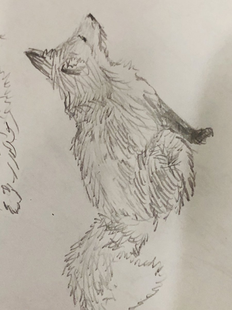 きつね
#きつね
#アナログ
#動物