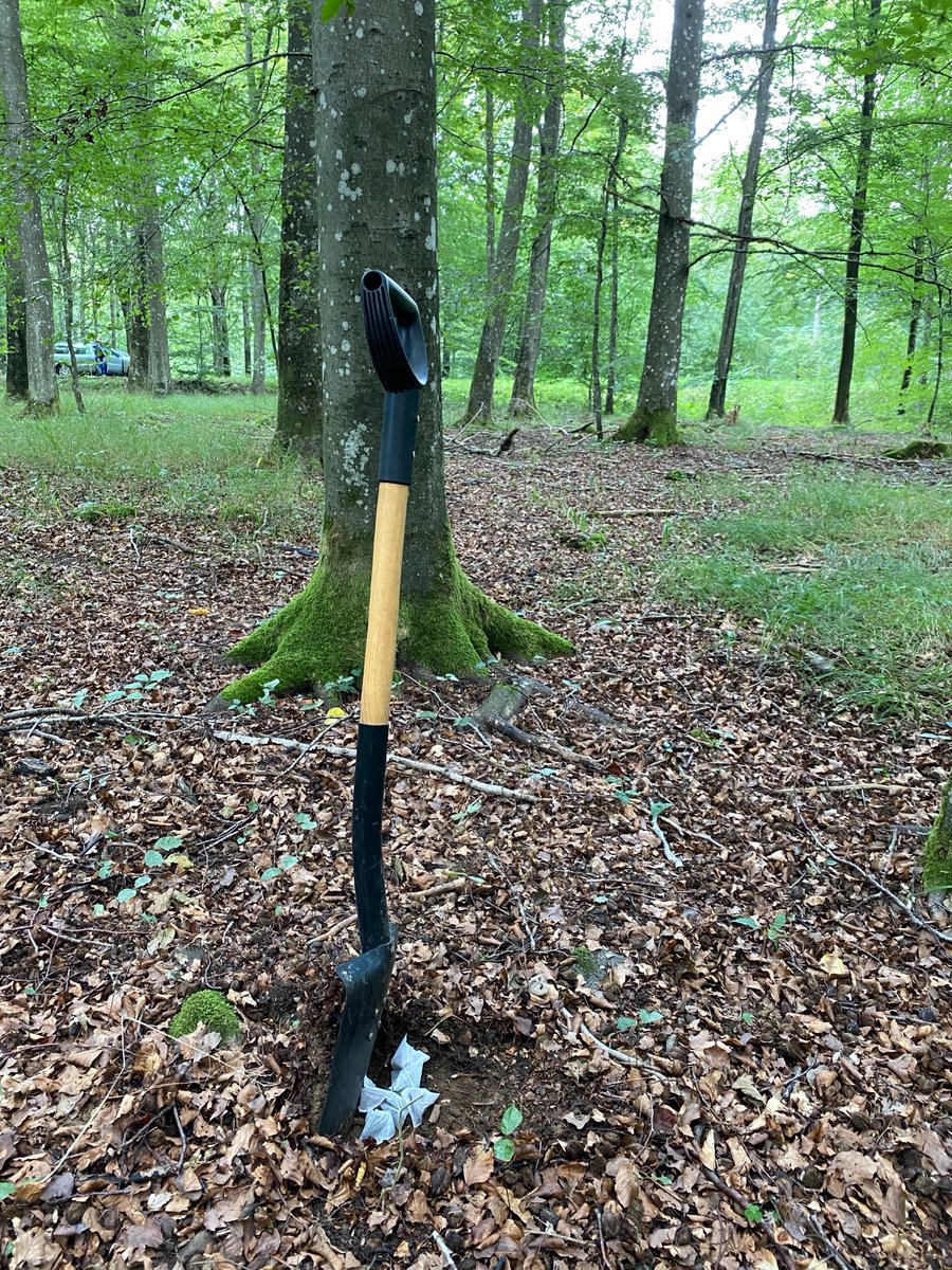 RouskLab's tweet photo. #Teabags installed in fertile vs infertile sets of #spruce #forests, #beech forests, mixed #deciduous #forests, and #agricultural #soils... Ready for collection by the advanced course in #SoilandPlantEcology @Biology_LU later in the fall #TBI #weekendexcursion #getdirty https://t.co/GZ8HqOafpw