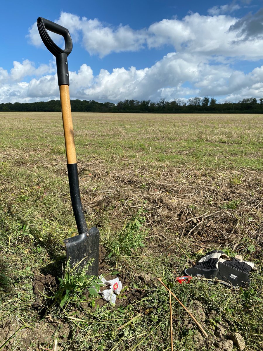 RouskLab's tweet photo. #Teabags installed in fertile vs infertile sets of #spruce #forests, #beech forests, mixed #deciduous #forests, and #agricultural #soils... Ready for collection by the advanced course in #SoilandPlantEcology @Biology_LU later in the fall #TBI #weekendexcursion #getdirty https://t.co/GZ8HqOafpw