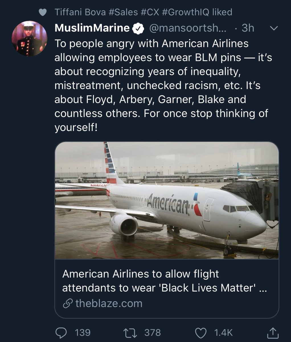 There’s a lot going on here. Salesforce executive “likes” a post by a subversive POG camelfucker about American Airlines adding BLM swag to their uniform.