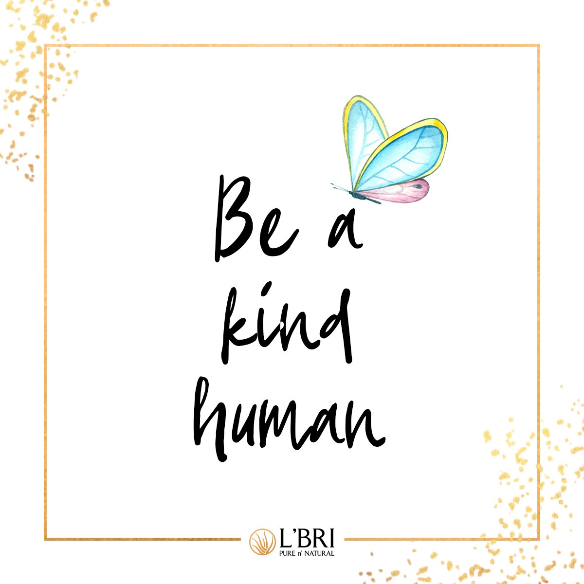 Welcome back Bulldogs!!