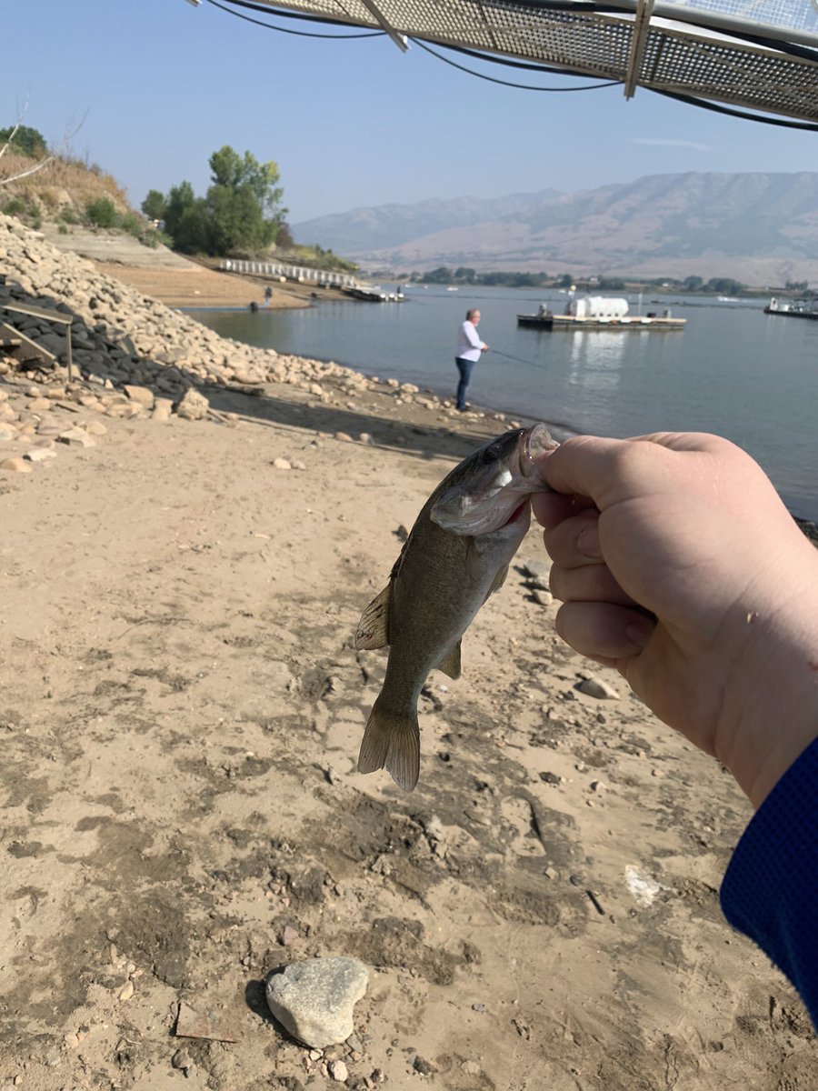 AddictsBass's tweet photo. Fish are fish right?? https://t.co/x1wnYBkomK