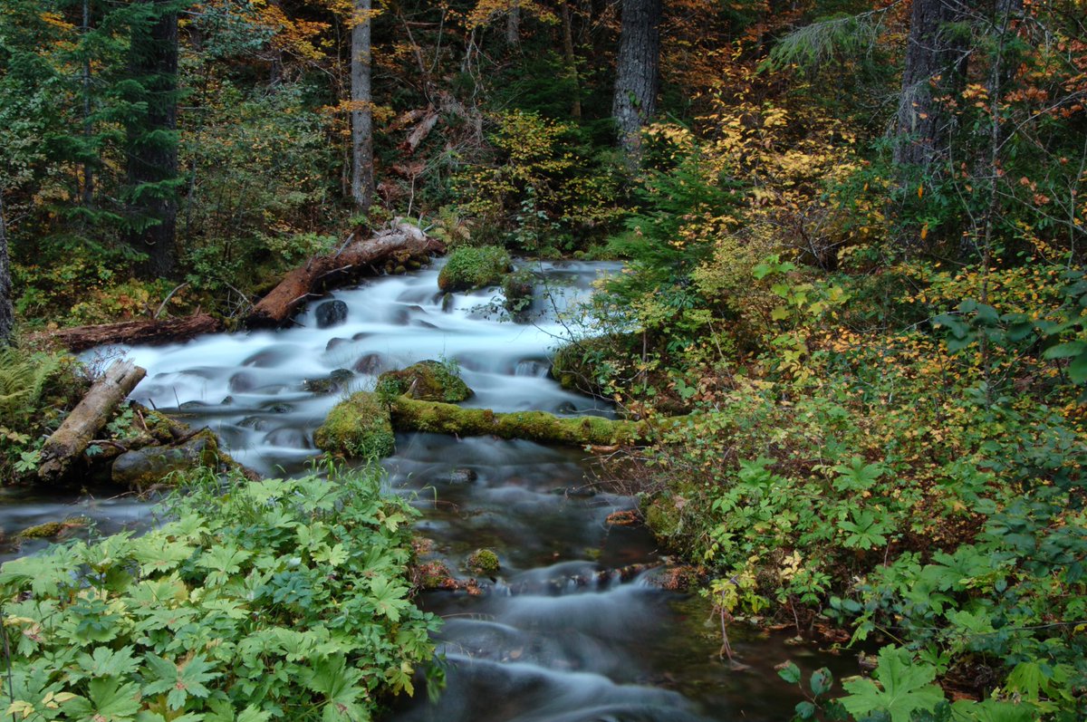 ForestServiceNW's tweet photo. Happy #LaborDay! Have some grand outdoor adventures today but w/extreme fire danger weather across the Pacific NW, please respect the land! Don’t cause that spark! https://t.co/BHmnrP5sY6 #LaborDay2020 https://t.co/7QnEZmbXwV