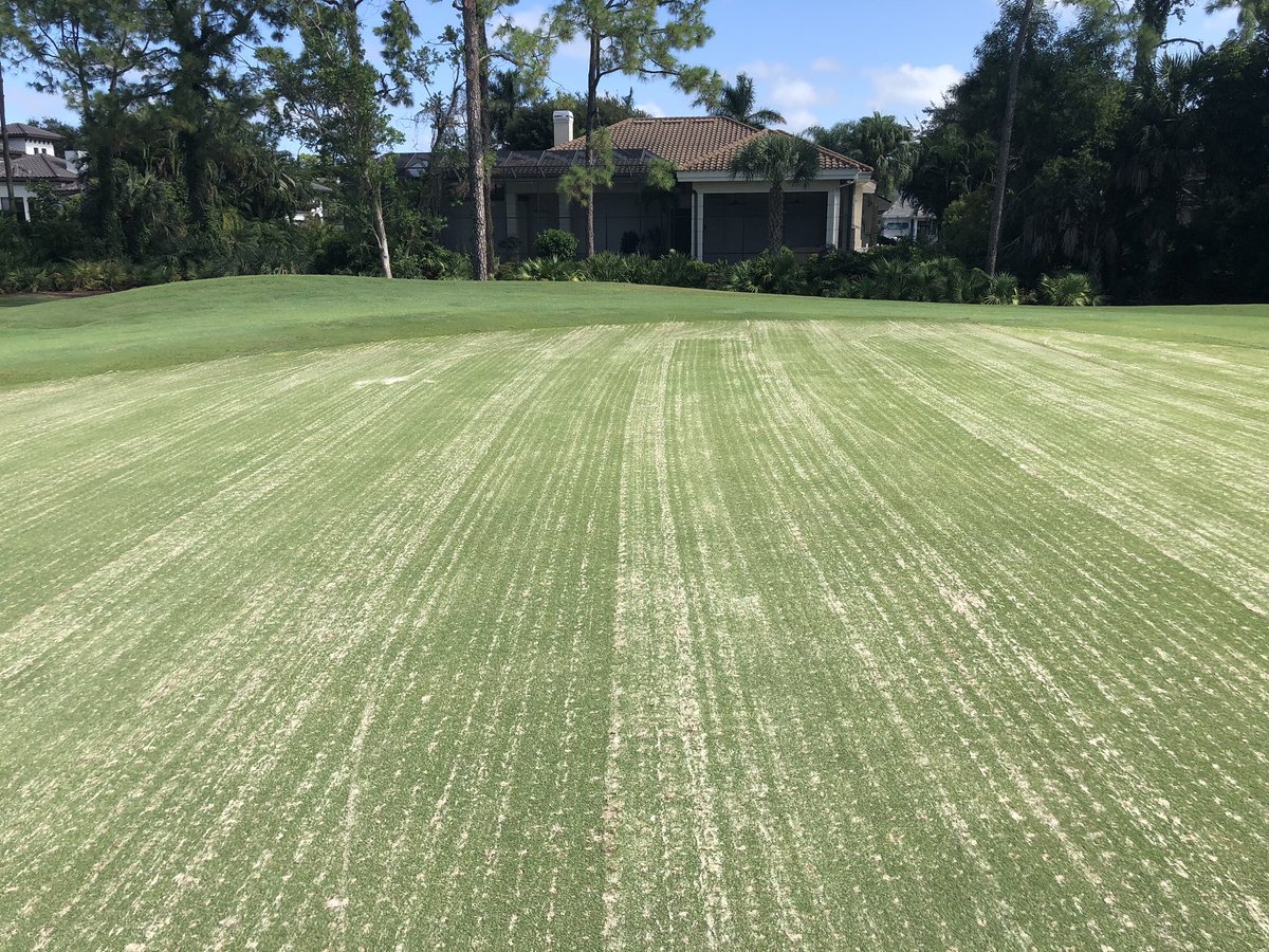 Frank E Sbarro tweet media