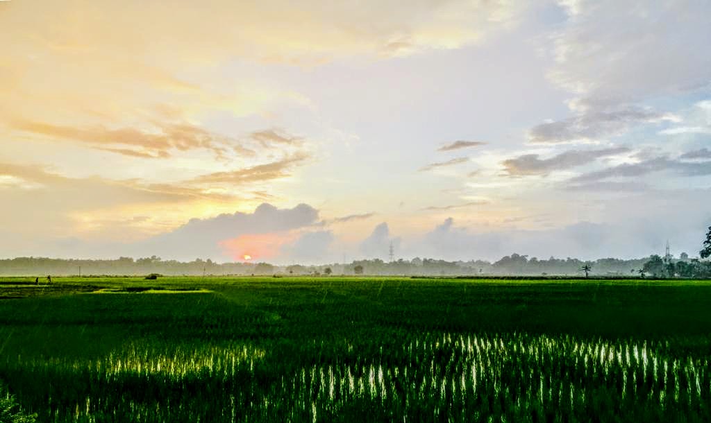 Hue of Nature..
#Pabhoi