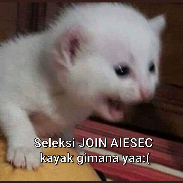 AIESEC in Indonesia tweet media