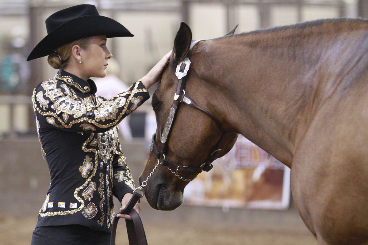 AQHYA's tweet photo. Showing horses offers so many life lessons, but did you know it could actually prepare you for acing job interviews? Read 5️⃣ reasons how 👉  https://t.co/OPkVlI82RG #AQHA #QuarterHorse #HorseShow #HorseShowing #Equestrian https://t.co/h9I5wSQTkb