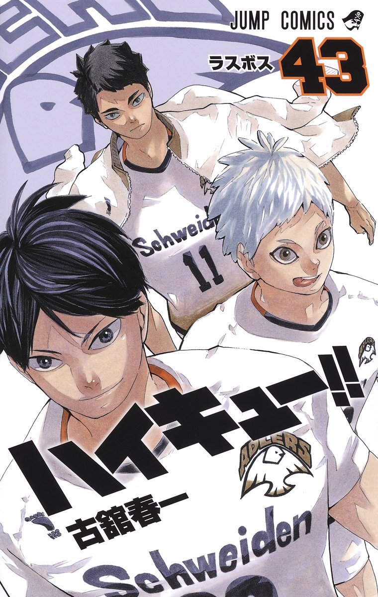 Haikyu!! Manga Volume 41