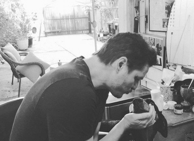 sweet_sub_sky's tweet photo. Pedro with Mira Chai Hyde's dog.
#PedroPascal #RandomDog https://t.co/GCpQsmRCl1