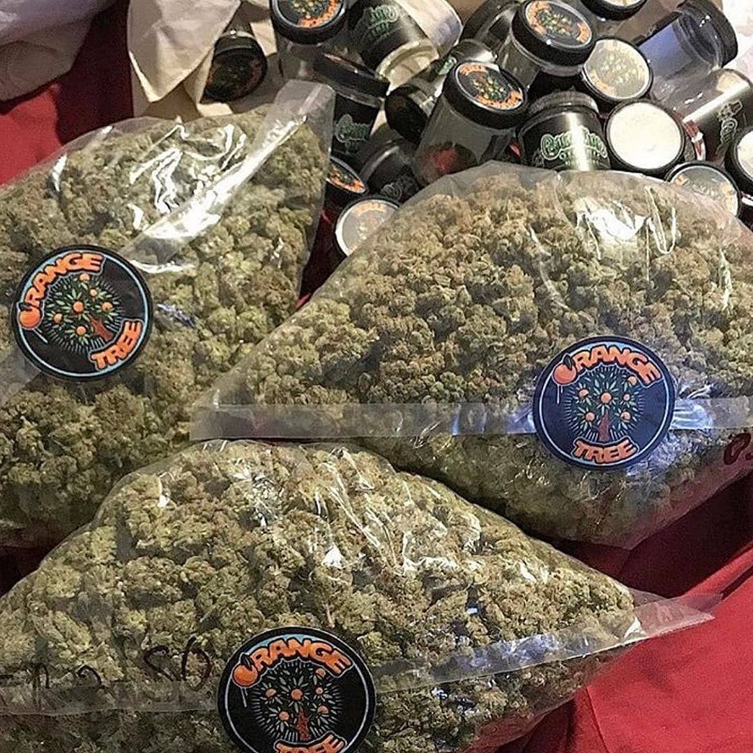 Francew66884543's tweet photo. Viens commander ta weed via
Snap: Weedfrw20
Télégram: https://t.co/s6GUIXu6PQ
#paris16 #paris18 #paris55 #paris19 #paris98 #paris14 #paris10 #paris11 #paris15 #paris44 #paris12eme #paris15 #paris21 #paris10 #paris22 #paris33 #paris13 #nantes #lyon #Versailles https://t.co/MRiFnjQQmI